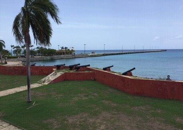 St. Croix Island.
#stcroix #virginislands #unitedstates #america #caribbean #palmtrees