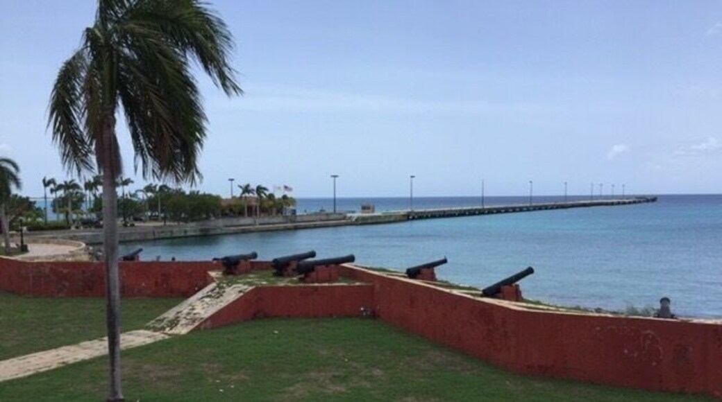 St. Croix Island.
#stcroix #virginislands #unitedstates #america #caribbean #palmtrees