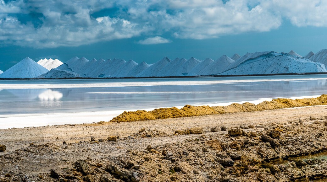 Kralendijk is the capital city and main port of the island of Bonaire in the Caribbean Netherlands.