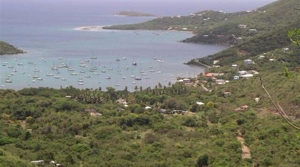 Coral Bay, St John, U.S. Virgin Islands.
#coralbay #stjohn #island #virginislands #unitedstates #america #caribbean