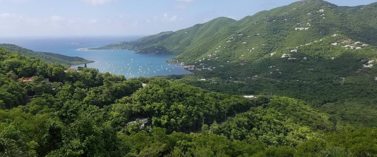 A coastal landscape with lush green hills, a bay with boats, and scattered buildings.