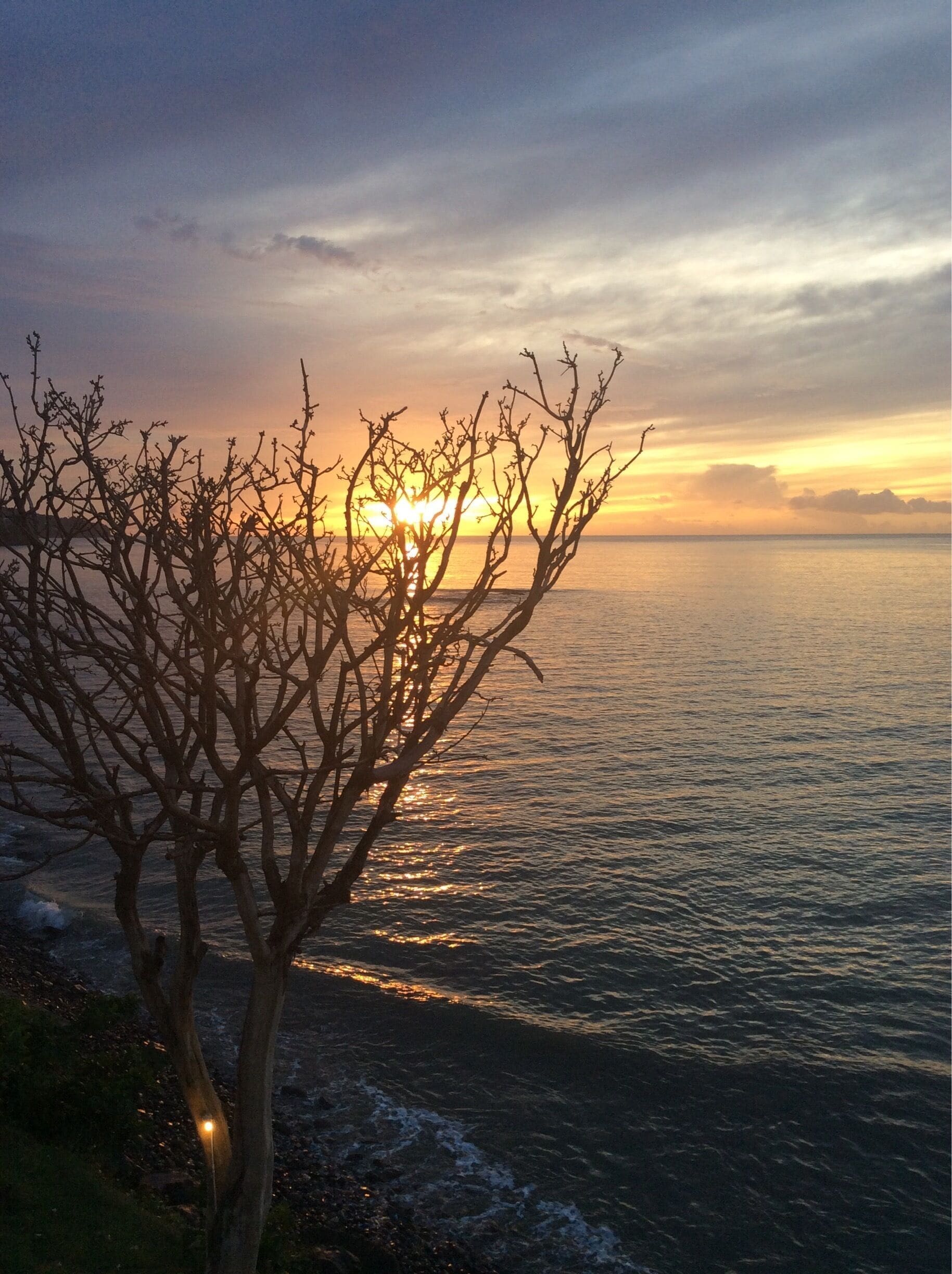 Pôr do sol sobre o oceano, com silhuetas de árvores e uma linha de costa distante.