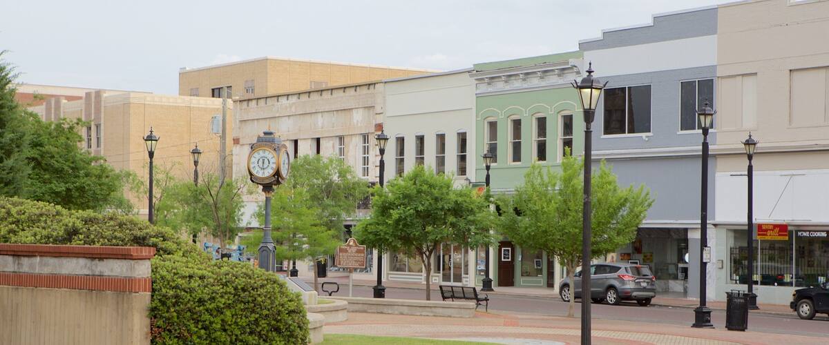 A street with a clock, trees, benches, and buildings.