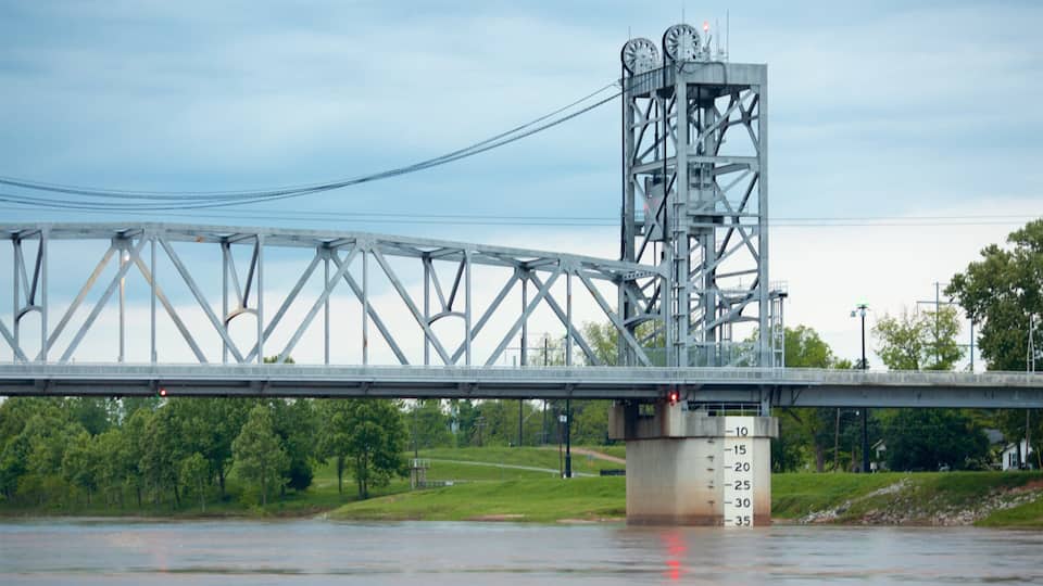 A steel bridge with a tower over a river.