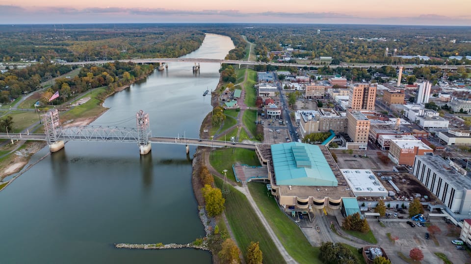 A river with a bridge, a cityscape, and a large building with a blue roof.