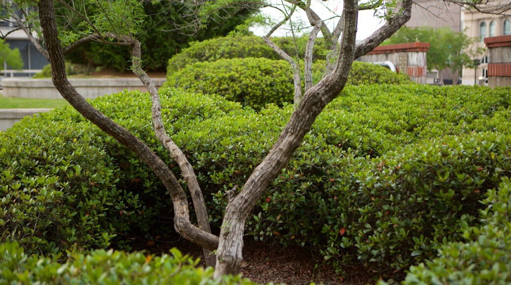 Alexandria que incluye un jardín