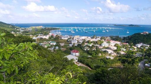Clifton