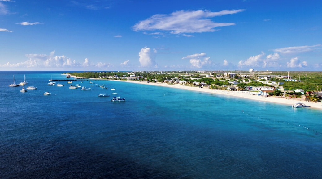 Best Snorkeling, without a doubt