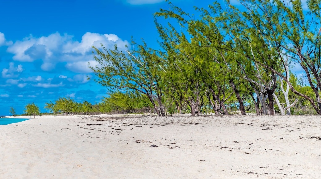 A panorama view along the deserted shore on the island of Grand Turk on a bright sunny morning