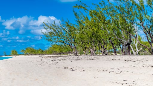 Thị trấn Cockburn