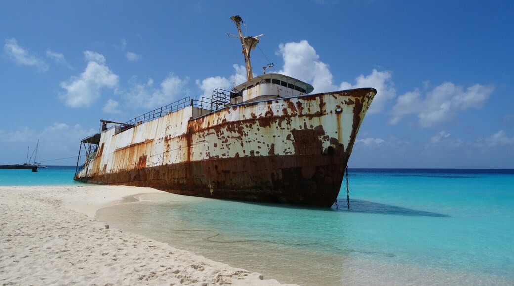 Para quem quer se iniciar no mergulho em navios afundados, este navio encalhado e parcialmente submerso, pode ser um começo interessante. Em 2012, o Mega One Triton encalhou na praia de Governor’s Beach, em Grand Turk, durante a passagem do Furacão Sandy.
#shipwreck #MegaOneTriton #Governorsbeach #GrandTurk