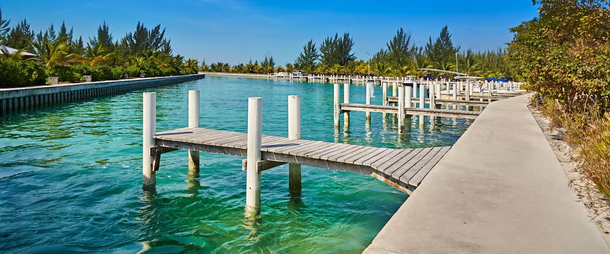 A wooden pier extending into a clear blue water body, surrounded by lush greenery and palm trees.