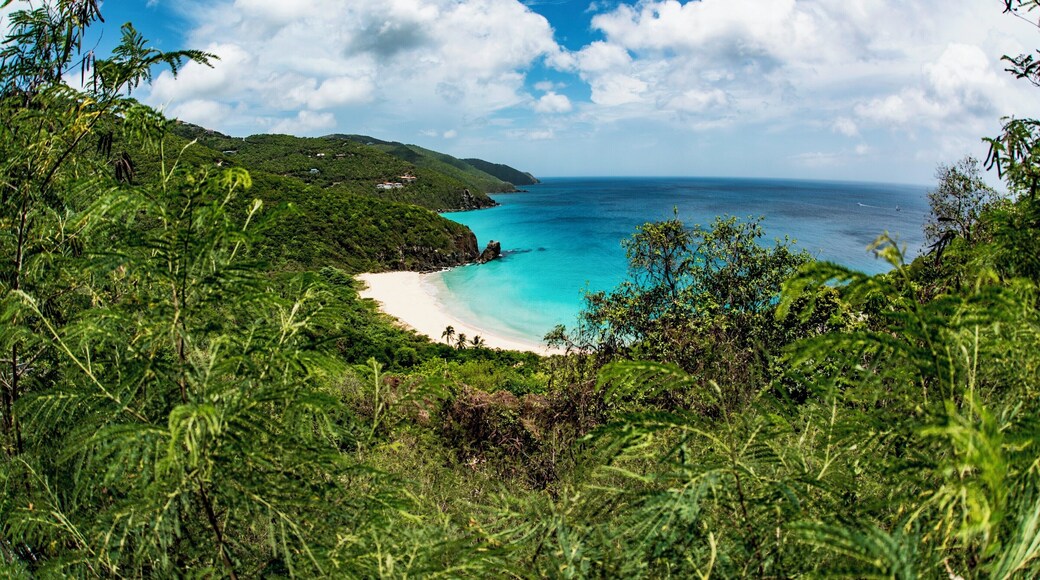 Rogue's Bay is one of the prettiest beaches on Tortola. It holds big waves in the winter and is placid and inviting during the Spring and Summer months. Oh, and you will be one of the few people on the beach. #beachtips #bvsblue