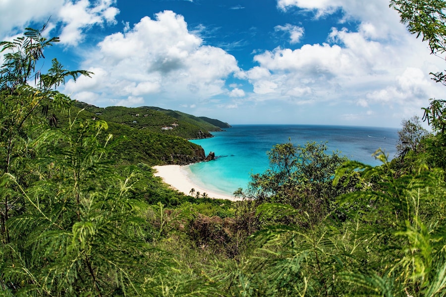 Rogue's Bay is one of the prettiest beaches on Tortola. It holds big waves in the winter and is placid and inviting during the Spring and Summer months. Oh, and you will be one of the few people on the beach. #beachtips #bvsblue