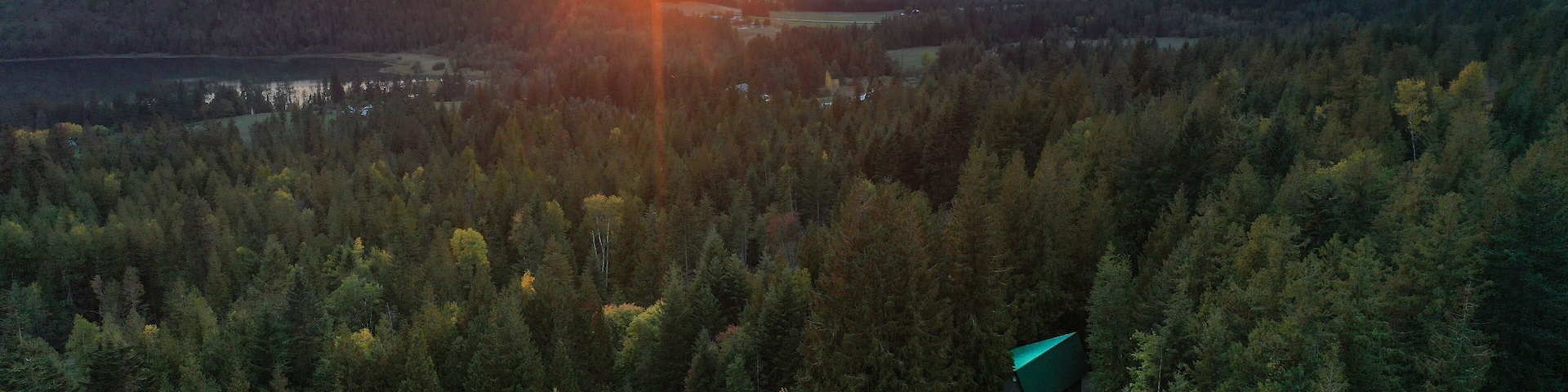 A forested landscape with a house and a lake at sunset.