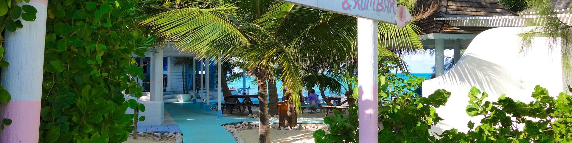 A beachside shack with a sign reading "CONCH SHACK & RUMBAR" surrounded by lush greenery and palm trees.