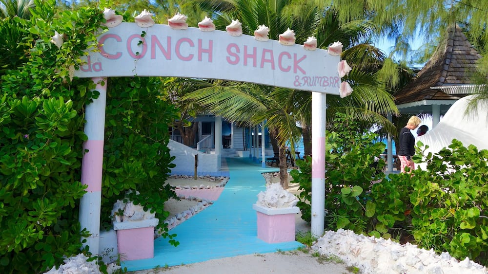 Conch Bar showing signage, a bar and general coastal views