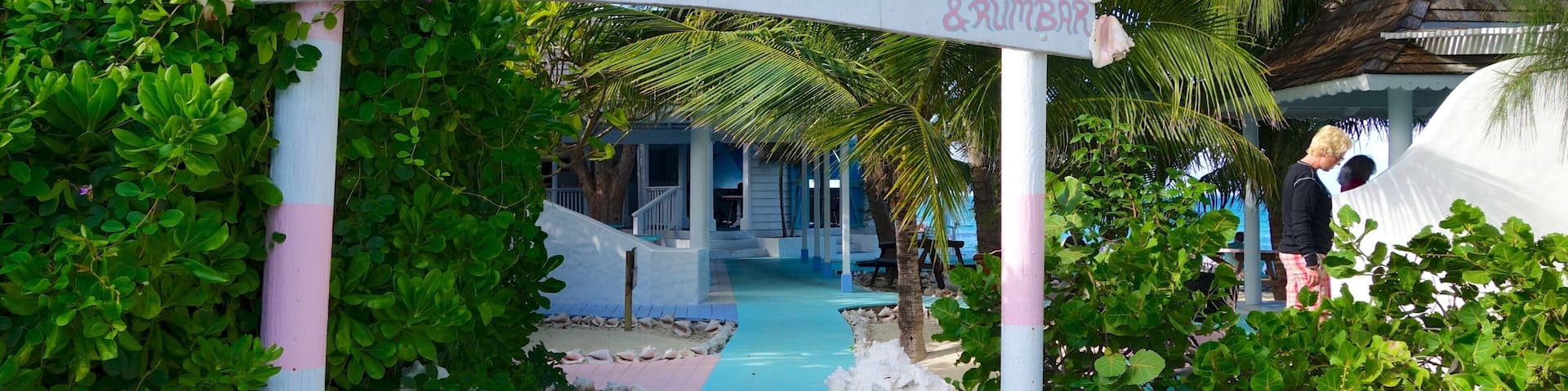 Conch Bar showing signage, a bar and general coastal views