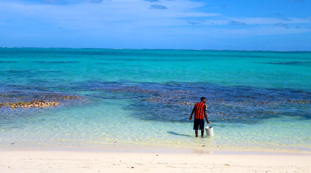 Conch Bar which includes tropical scenes and a beach as well as an individual male
