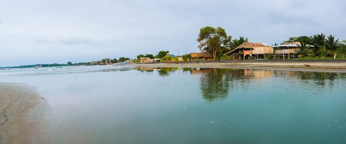 A calm beach with clear water, thatched-roof huts, and palm trees.