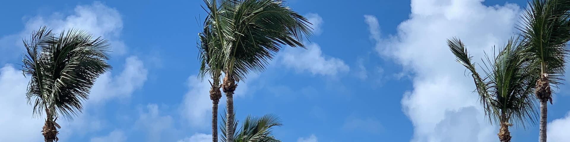 Bermuda A quiet place for your soul