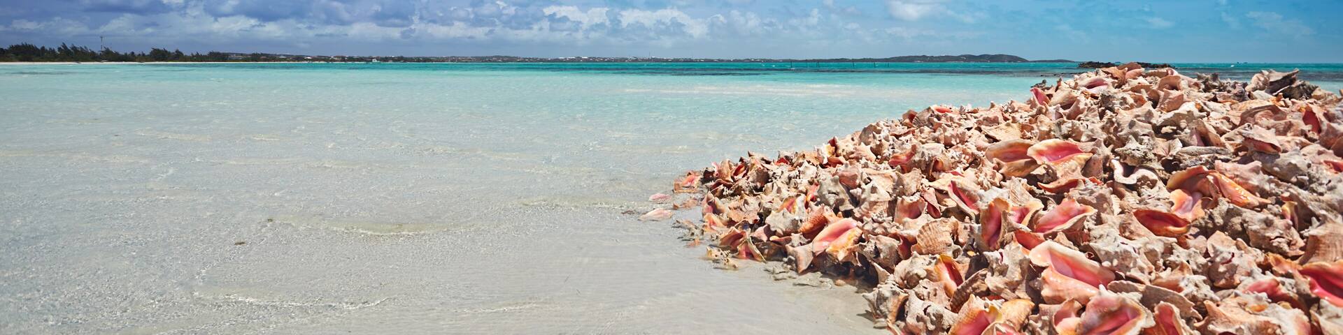 Pile of empty conch shells near a bay front restaurant, Providenciales, Turks and Caicos