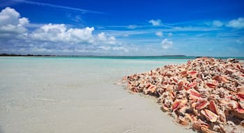 Five Cays