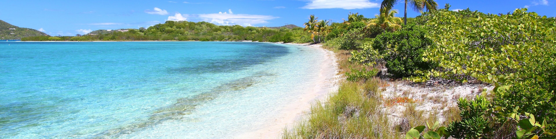 Un mar turquesa transparente, una playa de arena y abundante vegetación con palmeras.