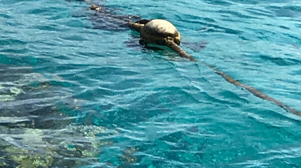 Lighthouse beach in Eilat Israel