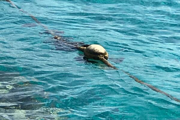 Lighthouse beach in Eilat Israel
