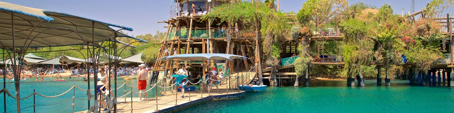 Dolphin Reef showing general coastal views as well as a small group of people