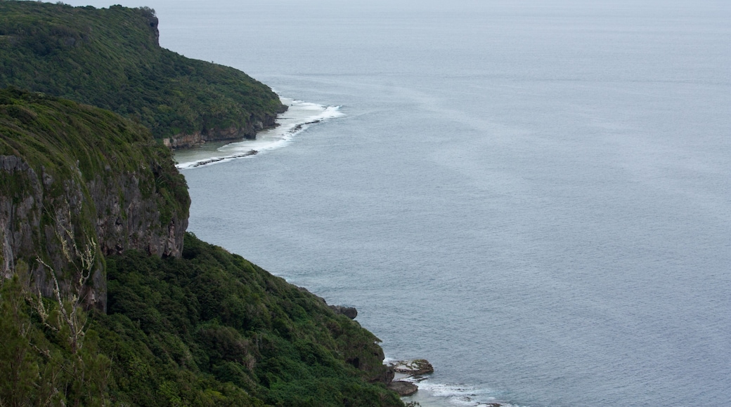 The coast of the Eua island in Tonga during sunset