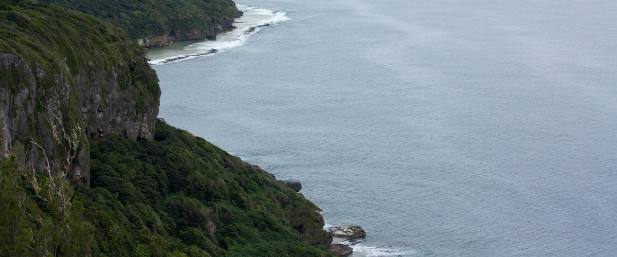 A coastal cliff with dense greenery and a calm sea.