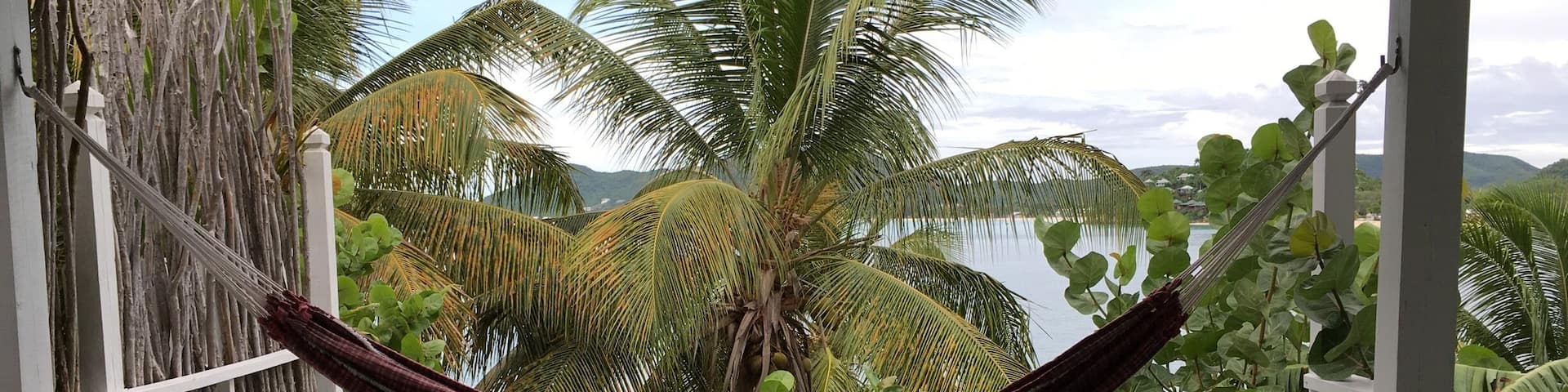 Une terrasse en bois avec une piscine, deux fauteuils Adirondack et un hamac, le tout offrant une vue imprenable sur un paysage tropical, avec des palmiers et une vue sur l’eau.