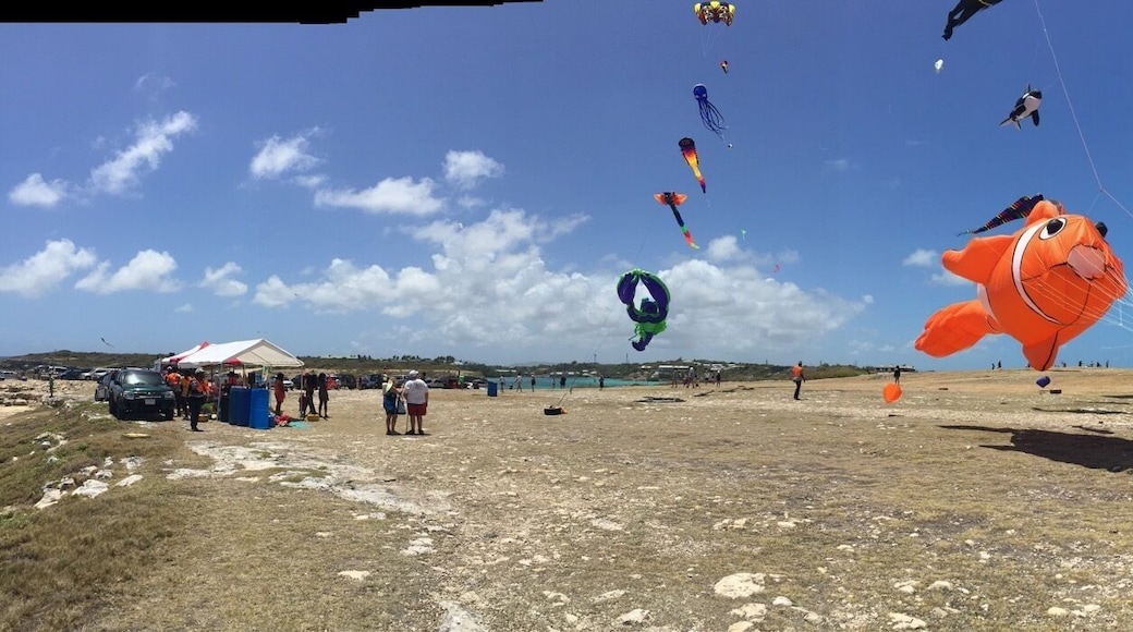 Kite festival April 6th 2015