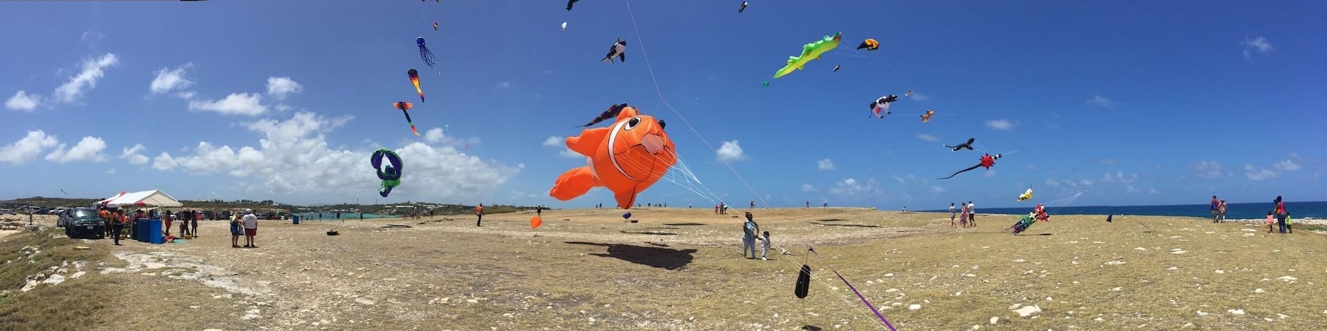 Kite festival April 6th 2015