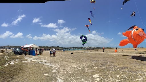 Kite festival April 6th 2015