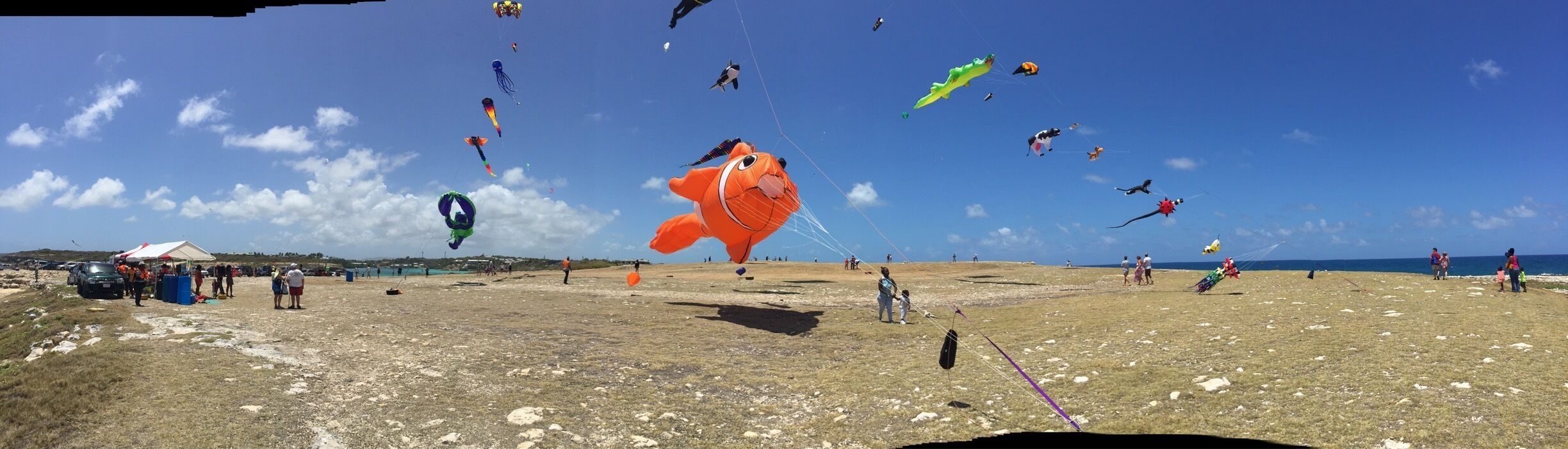A beach with numerous colorful kites flying in the sky.