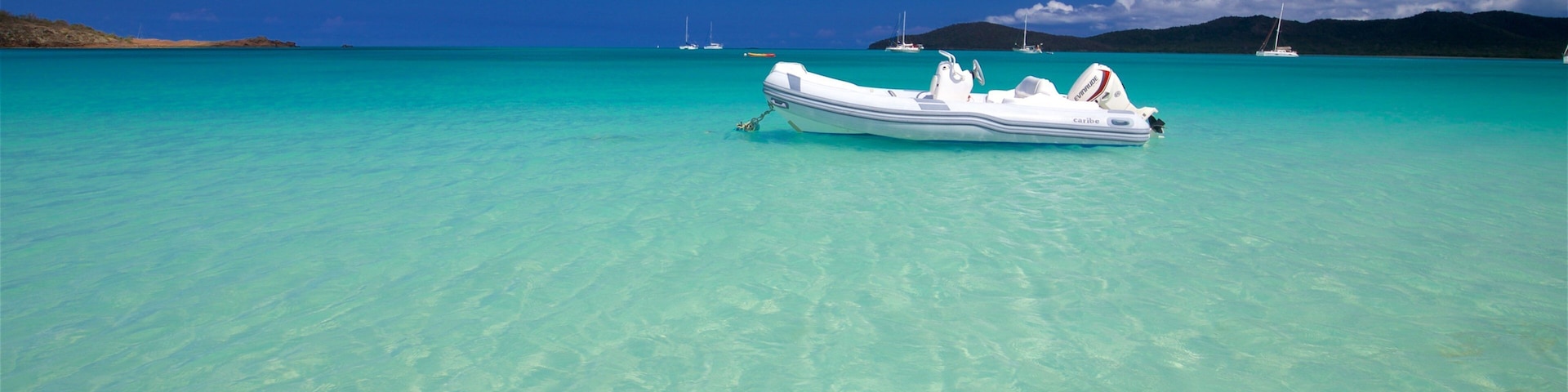 Antigua featuring general coastal views and tropical scenes