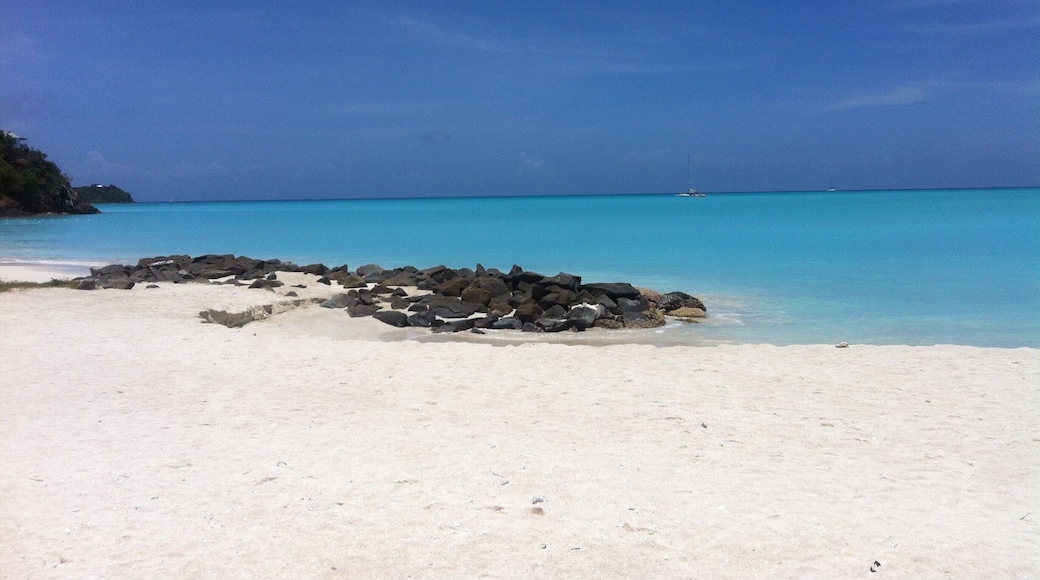 At Jolly Beach, in the region of Bolen’s, the colors are like a chameleon of blues, changing base on sunlight, clouds and the tide. A gentle beach with warm waters make it romantic, with few crowds and a relaxed feel. #BVSblue