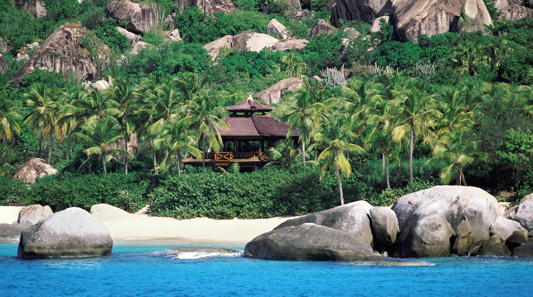 Valley Trunk, Virgin Gorda, British Virgin Islands, Caribbean