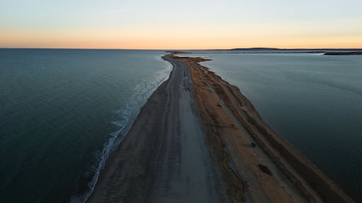 Hull