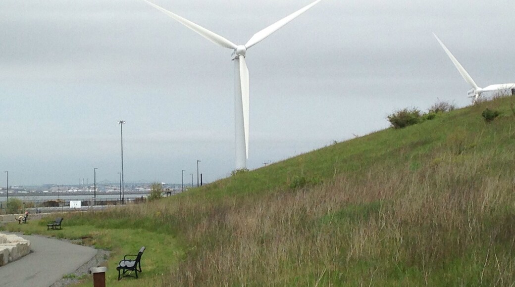 We traveled out to see the Boston Islands from the tip of Deer Island. You can see the remaining foundation from Deer Island lighthouse, and Boston and Gravesend Lighthouses off in the distance.