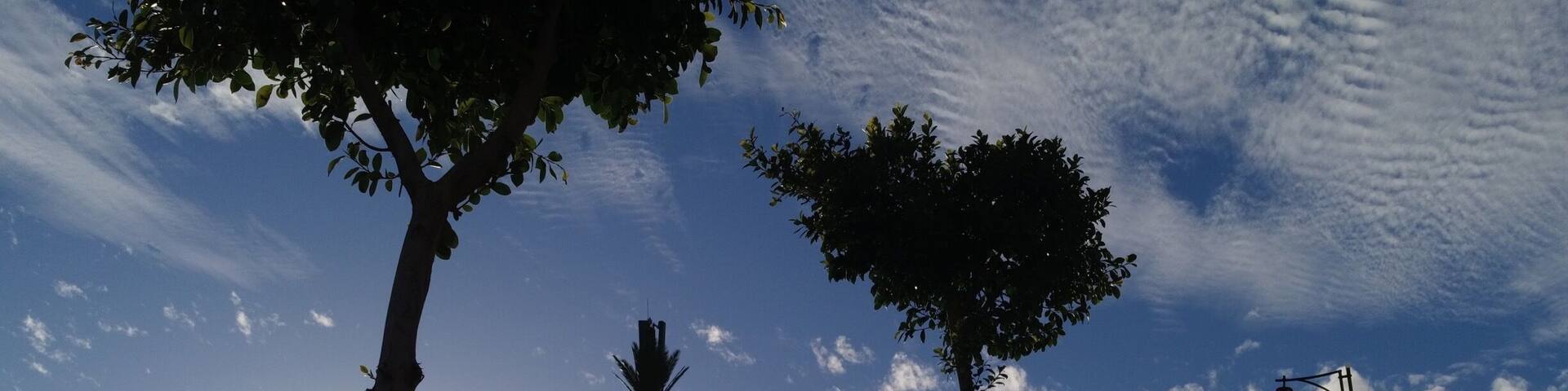 Just another shot from the main drag