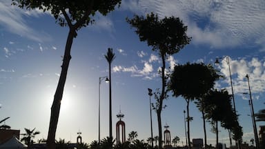 A sunny street lined with palm trees and street lamps, with a clear sky and a distant tower.