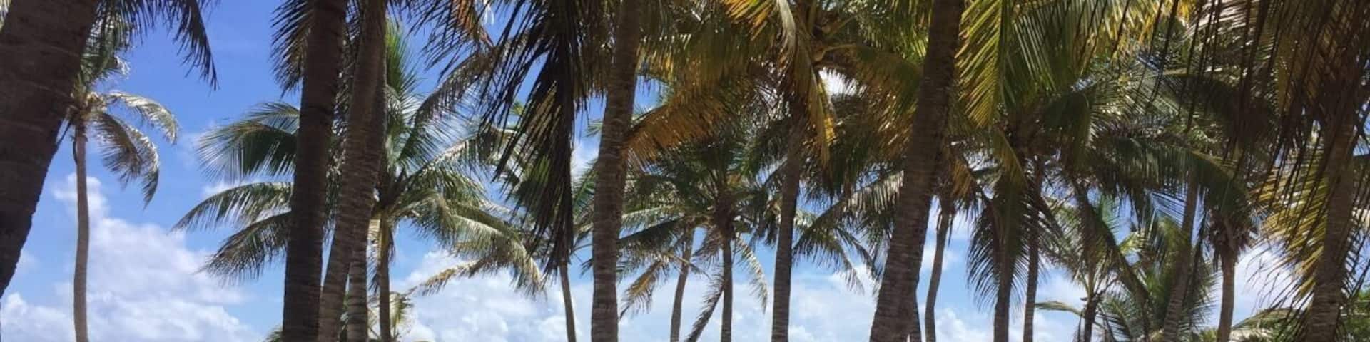 Presque sauvegardée, une ßle magique