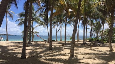 Presque sauvegardée, une ßle magique