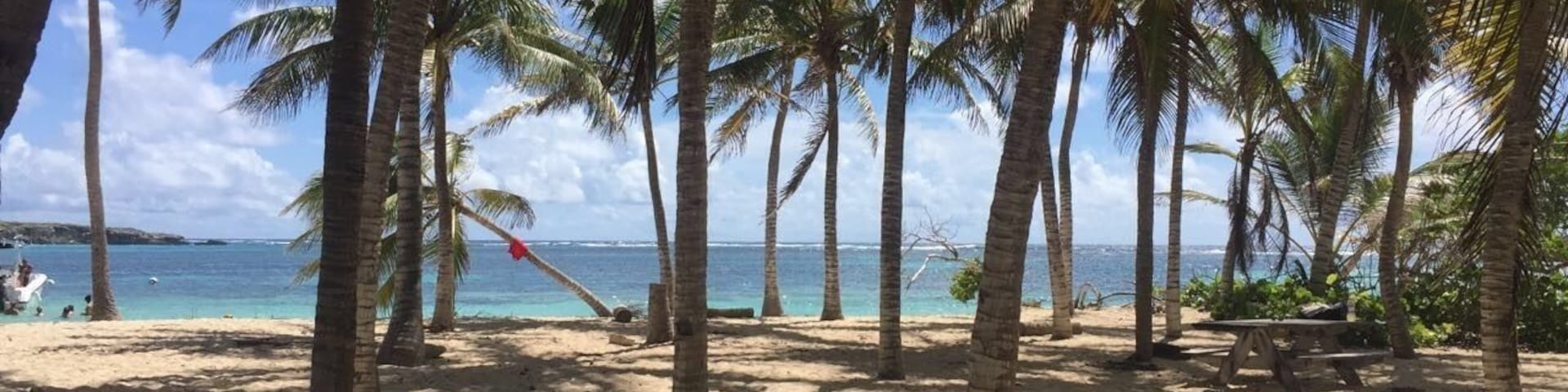 Presque sauvegardée, une île magique