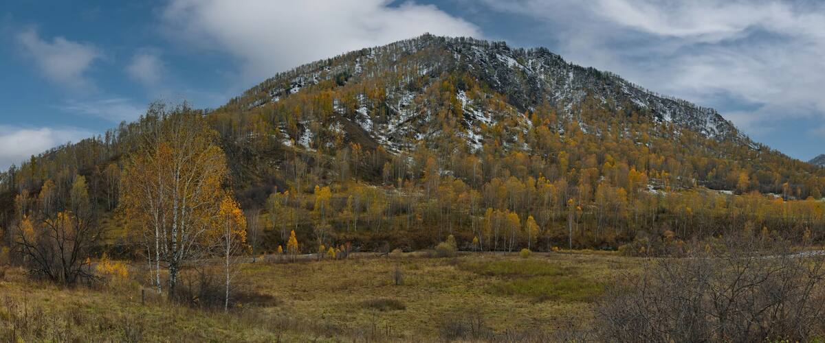 A mountain with autumn foliage and snow patches.