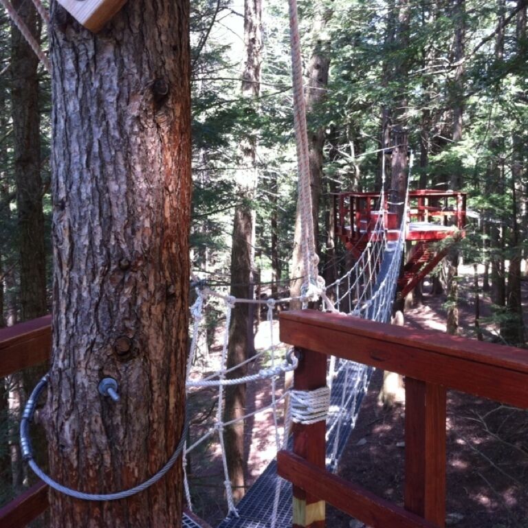 Mid mountain tour- zip lining